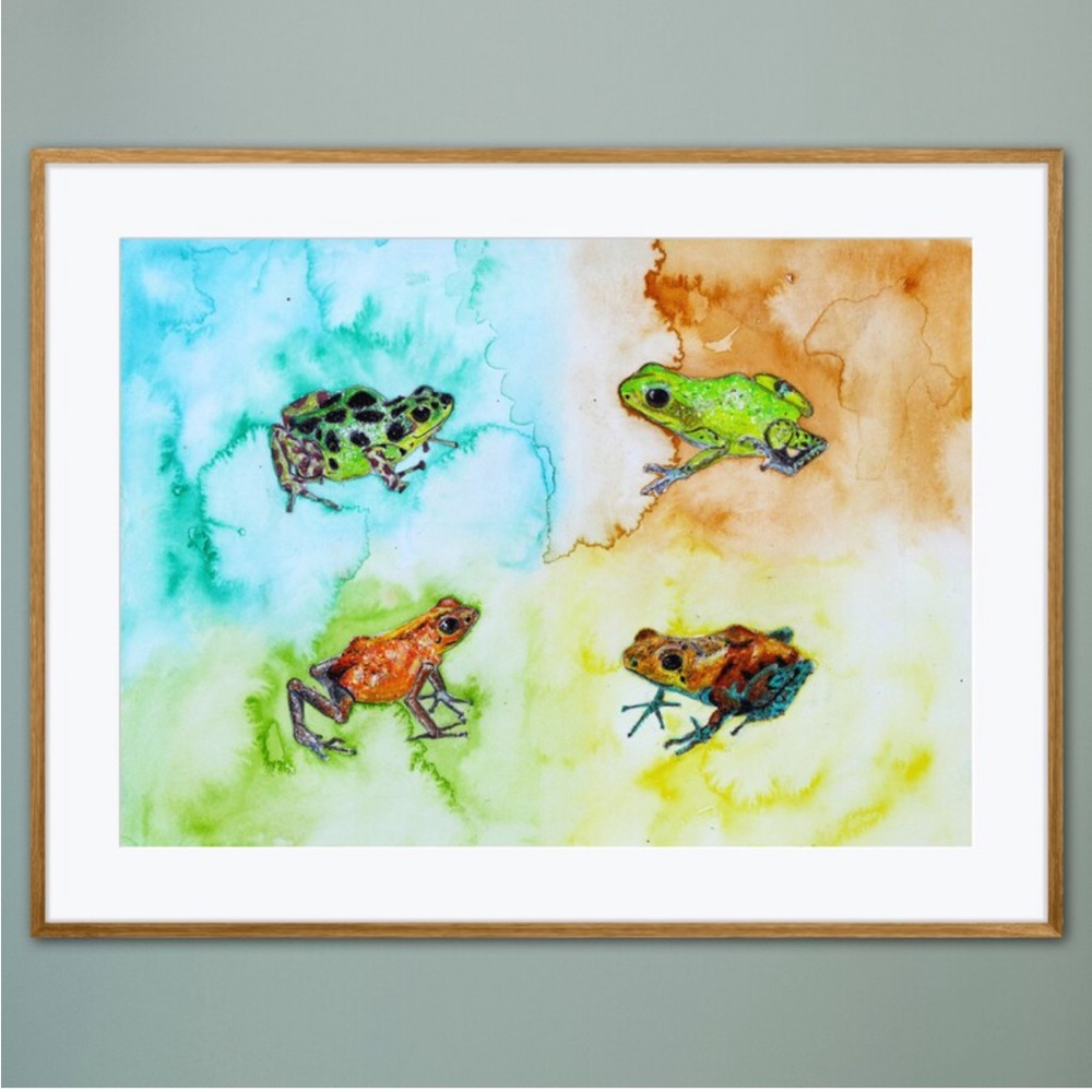Poison Frogs Fine Art Print Reproduction Watercolor Colorful Tropical Rainforest